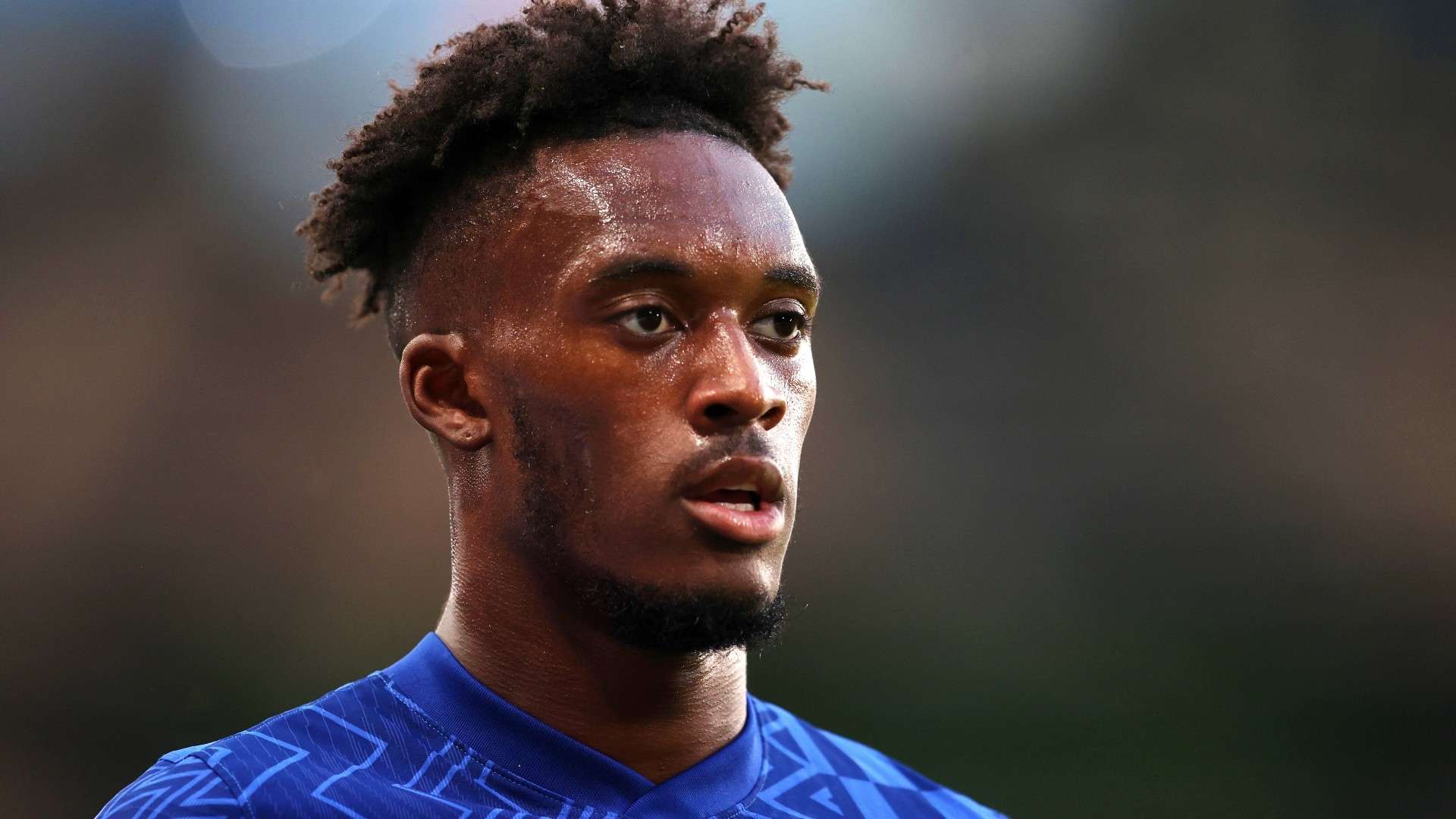 为该节目带 为该节目带